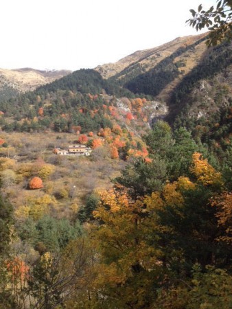 Höstfärgerna är som vackrast i Oktober och November